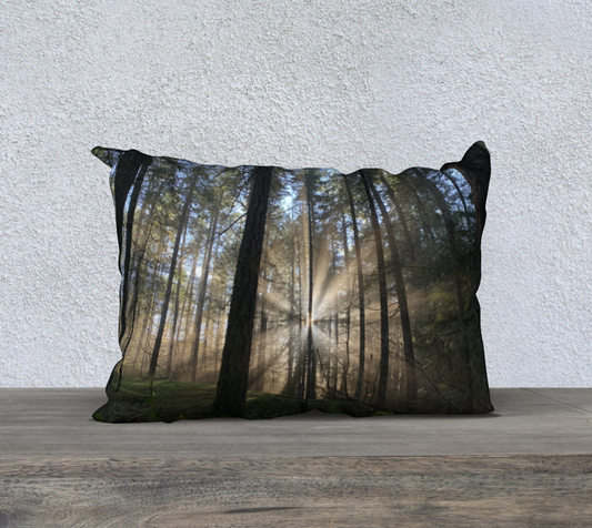 Cushion Cover (20" x 14") Rays of Light