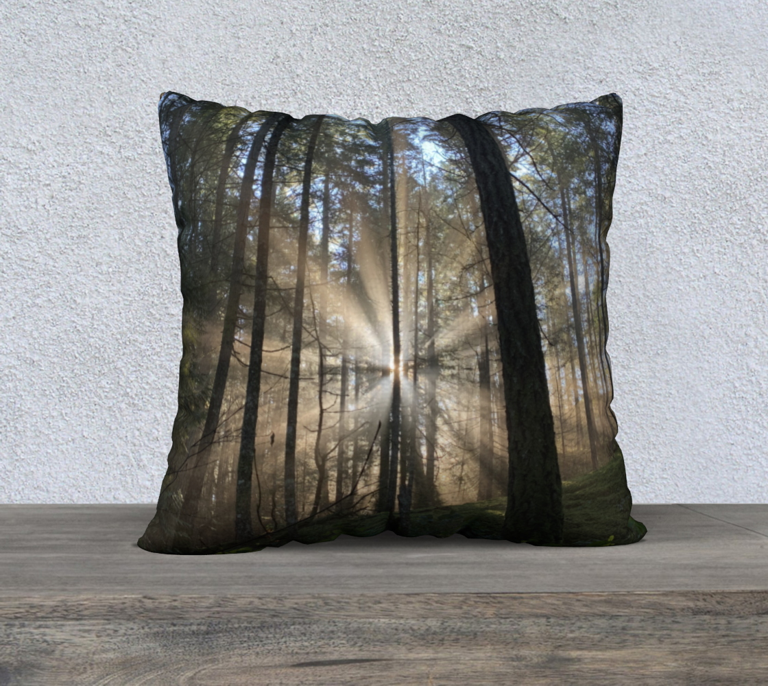 Cushion Cover (22" x 22") Rays of Light