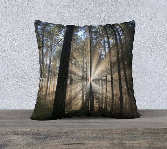 Cushion Cover (22" x 22") Rays of Light