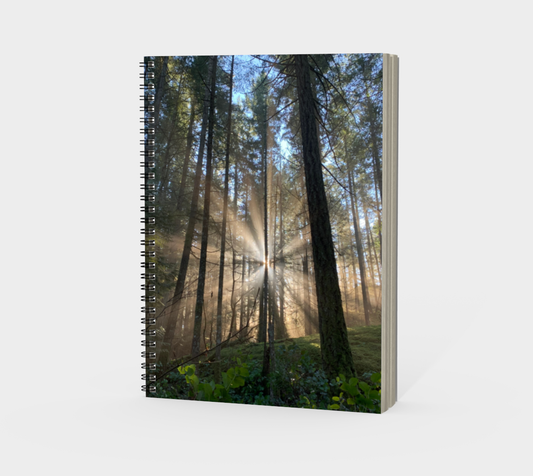 Spiral Notebook (portrait) Rays of Light