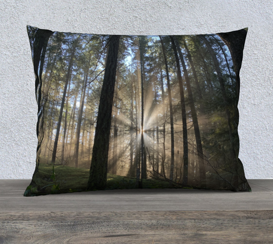 Cushion Cover (26" x 20") Rays of Light