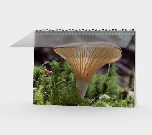 Spiral Notebook (landscape) Mushroom Glow